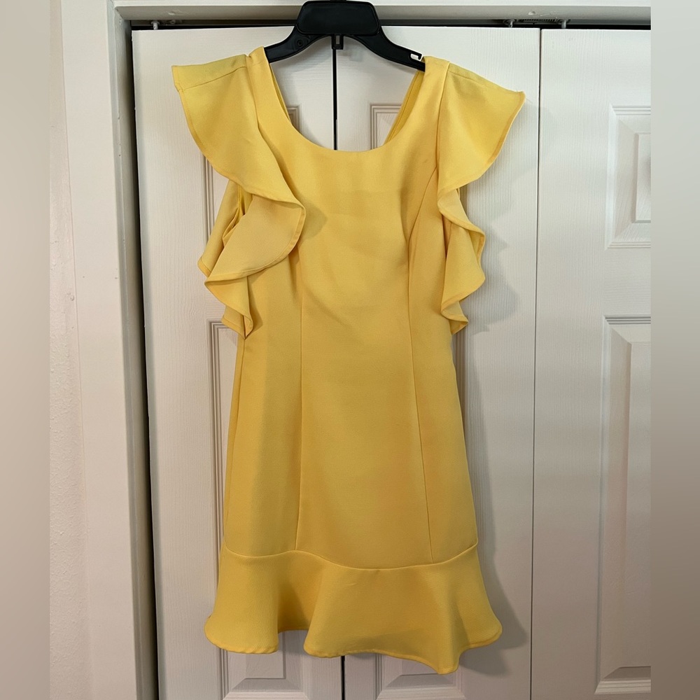 BCBGeneration Ruffle Sleeve Mini Dress